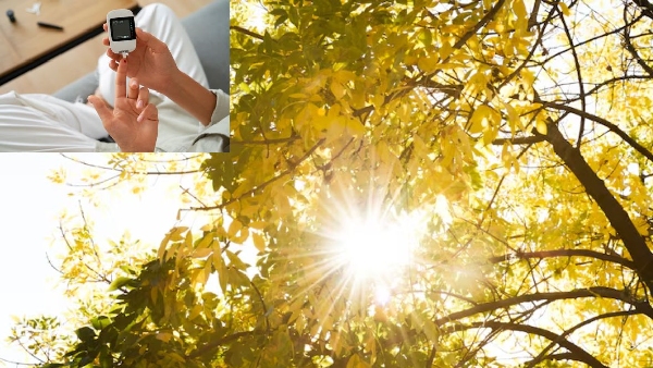 New Study Reveals Natural Light Controls Type 2 Diabetes New Study Reveals Natural Light Controls Type 2 Diabetes