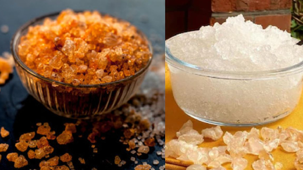 Top 10 Most Searched Recipes of 2025 A Mix of Tradition and Trend