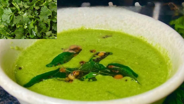 Make Your Breakfast Special with This Tangy Kothimeera Thanni Chutney Recipe