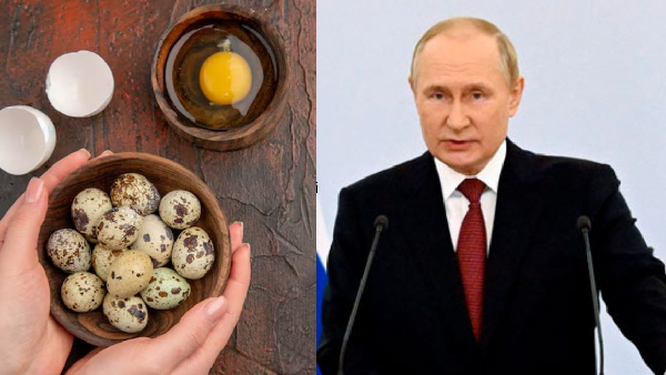 From Glowing Skin to Brain Power The Amazing Benefits of Quail Eggs