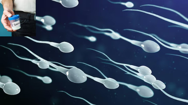 Warning Signs That Your Sperm Health is at Risk