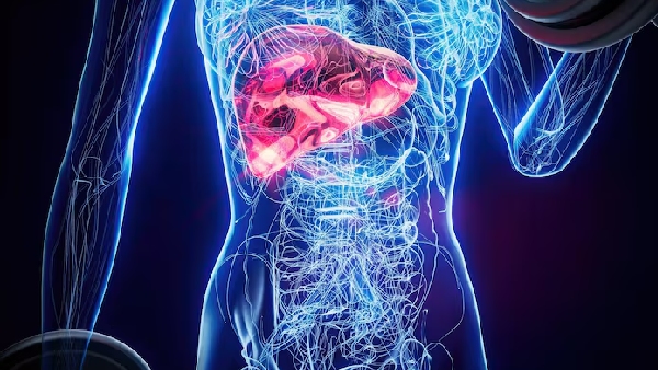 The Liver Doc Warns MASLD is the New Silent Killer Beyond Alcohol The Liver Doc Warns MASLD is the New Silent Killer Beyond Alcohol