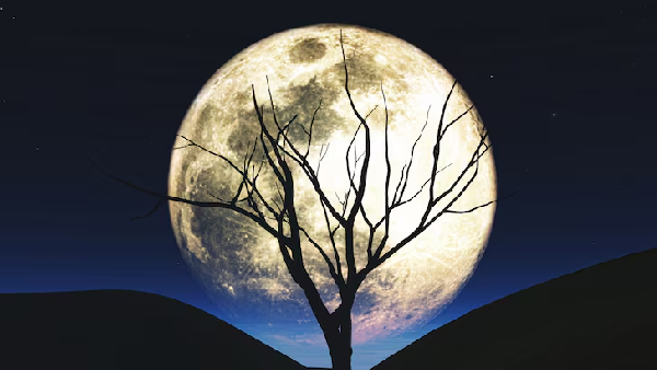 Magha Purnima 2026 A Rare Cosmic Event Brings Rajayoga for These 4 Zodiac Signs