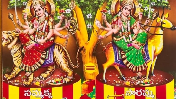 Medaram Jatara 2026 Who were Sammakka and Saralamma Everything You Need to Know About Forest Goddess