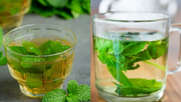 one herb many benefits what happens to your body if you drink mint water daily one herb many benefits what happens to your body if you drink mint water daily