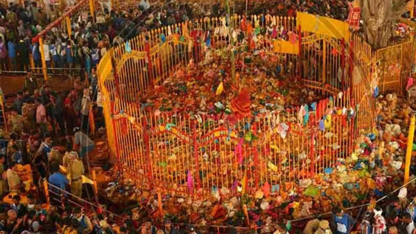 Medaram Jatara 2026 Who were Sammakka and Saralamma Everything You Need to Know About Forest Goddess