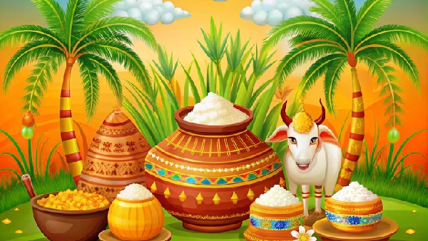 Sankranti 2026 Dates and Shubh Muhurats From Bhogi Mantalu to Kanuma Feasts Full Schedule