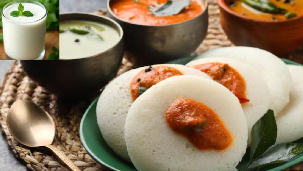 Instant Majjiga Idli Recipe Make Soft and Spongy Buttermilk Idlis in Just 15 Minutes
