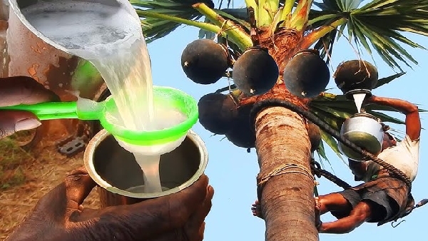 Feeding Toddy to Kids Pediatrician Reveals the Horrific Side Effects