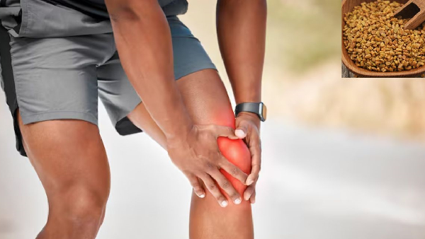 Joint Pain in Your 30s Kitchen Superfood Fenugreek Seeds Can Make Your Bones Strong as Steel