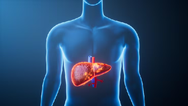 Is Your Antibiotic Harming Your Liver IIT Bombay Study Reveals the Real Culprit Is Your Antibiotic Harming Your Liver IIT Bombay Study Reveals the Real Culprit