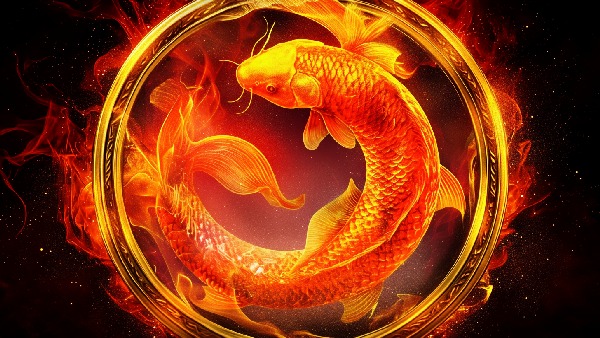 Daily Horoscope in Telugu for meenam 25-Mar-2026