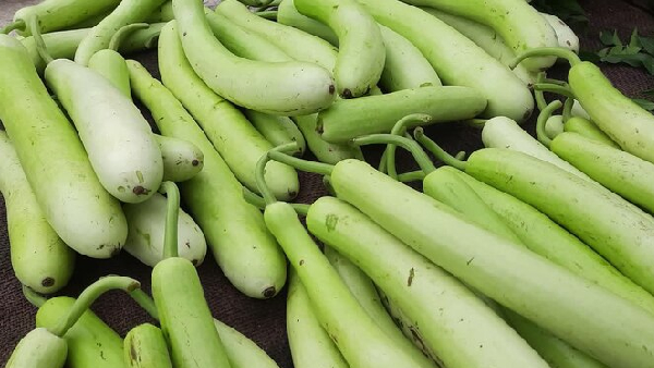 The Ultimate Weight Loss Breakfast Quick and Easy Bottle Gourd Dosa Recipe in Telugu