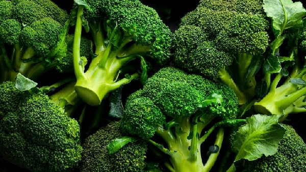 Is Broccoli Really a Cancer Cure Doctor Kunal Sood Explains Truth Behind the Viral Superfood