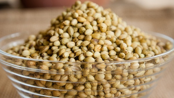 Coriander Water The Kitchen Secret to Good Digestion Weight Loss and a Healthy Heart