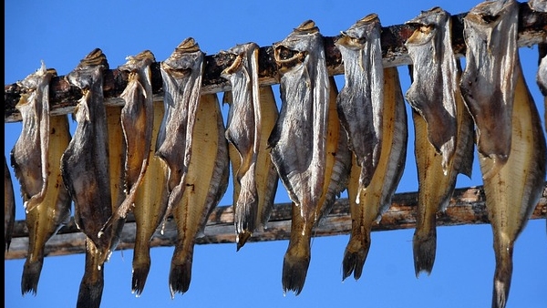 Double the Calcium Zero Joint Pains Magical Health Benefits of Dry Fish Ultimate Superfood for Men