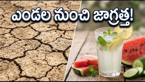 Heatwave Safety Tips: How to Stay Hydrated and Beat the Scorching Summer Heat