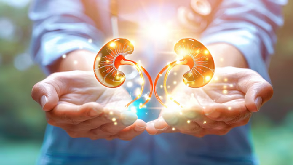 Are Your Habits Killing Your Kidneys 5 Warning Signs You Should Know