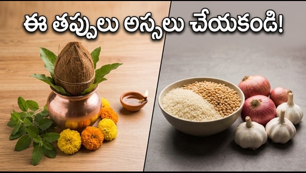 Mohini Ekadashi 2026: Date, Puja Vidhi, and Auspicious Parana Timings | మోహినీ ఏకాదశి 2026: పూజా విధానం, పారణ సమయాలు