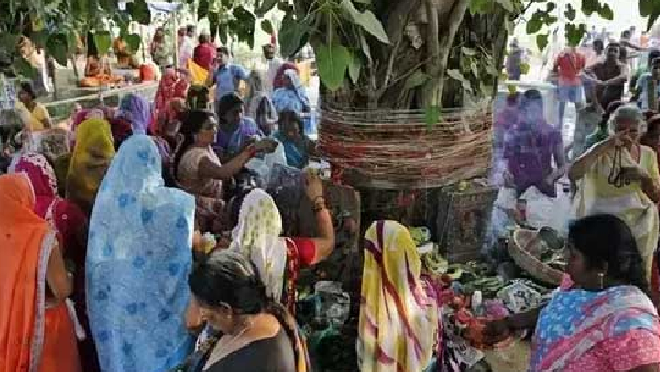 The Ultimate Brahmasthram for Shani Dosha Powerful Peepal Tree Remedies for Saturday