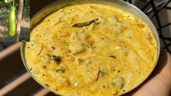 Cooling and Nutritious Creamy Sorakaya Dahi Tadka Recipe in Telugu