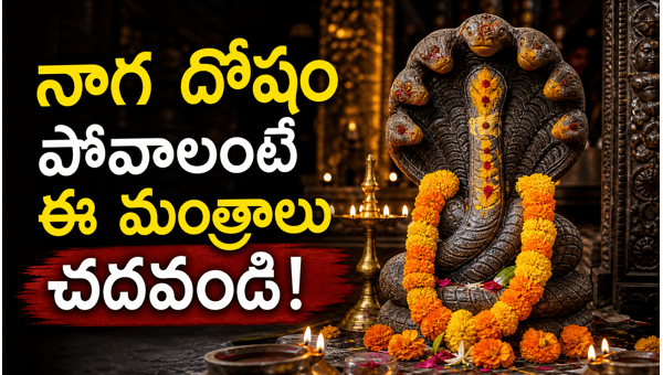 Naga Dosha remedies Naga Dosha remedies