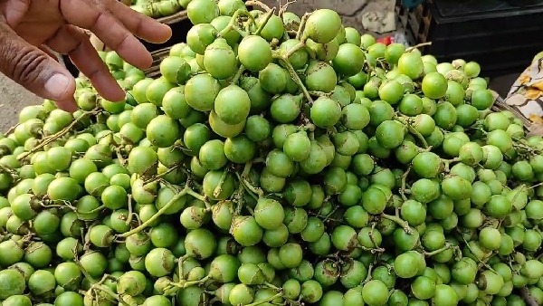 Incredible Health Benefits of Lasoda Fruit The Ultimate Summer Superfood