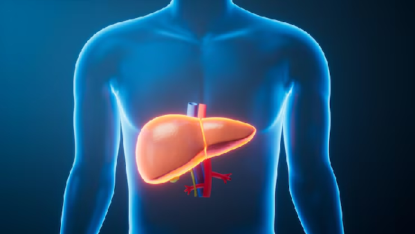 Not Just Alcohol Five Everyday Things Silently Destroying Your Liver