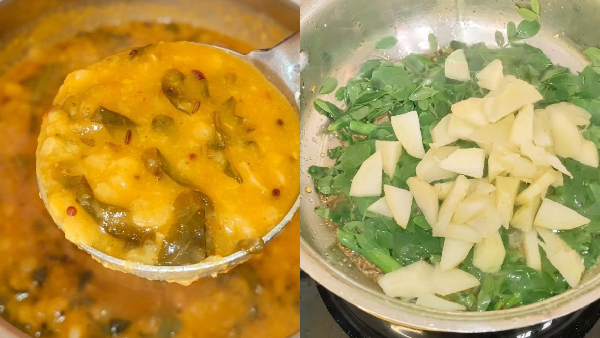 The Ayurvedic Sanjeevani Recipe How to Make Munagaku Mamidikaya Pappu at Home in Telugu
