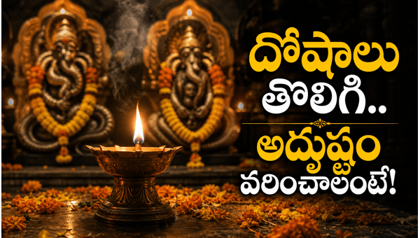 Rahu Ketu Dosha remedies