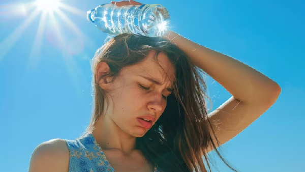 Ditch the Cold Drinks Choose Lychee for Natural Summer Cooling Ditch the Cold Drinks Choose Lychee for Natural Summer Cooling