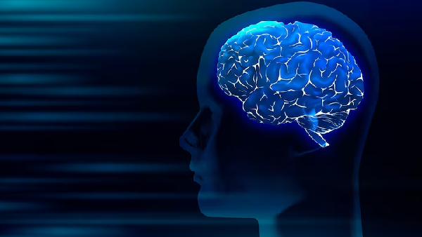 Say Goodbye to Memory Loss Top Superfoods for Ultimate Brain Health Say Goodbye to Memory Loss Top Superfoods for Ultimate Brain Health