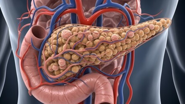 Global fatty liver day 2026 experts says high protein causes this disease