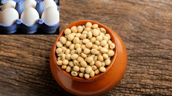 Doctor Recommended 5 Vegetarian Foods Packed with More Protein Than an Egg Doctor Recommended 5 Vegetarian Foods Packed with More Protein Than an Egg