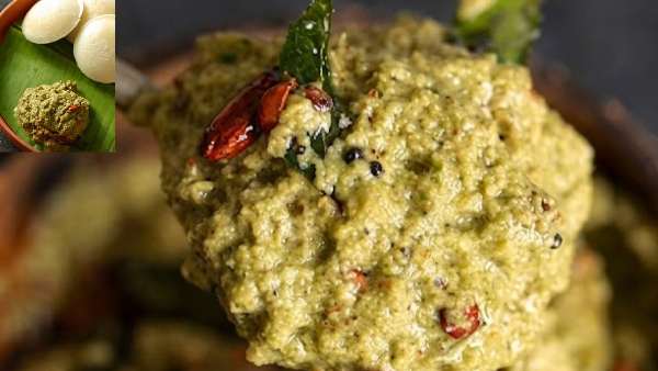 Allam Kothimeera Chutney Recipe How to Make the Perfect Ginger Coriander Chutney at Home in Telugu