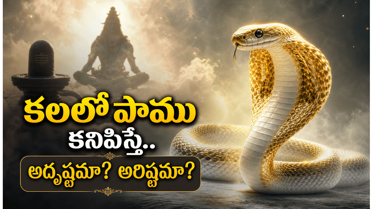 కలలో పాము కనిపిస్తే ఏమి అర్థం? శాస్త్రాలు, స్వప్న శాస్త్రం చెప్పే ఆశ్చర్యకర సంకేతాలు ఇవే!