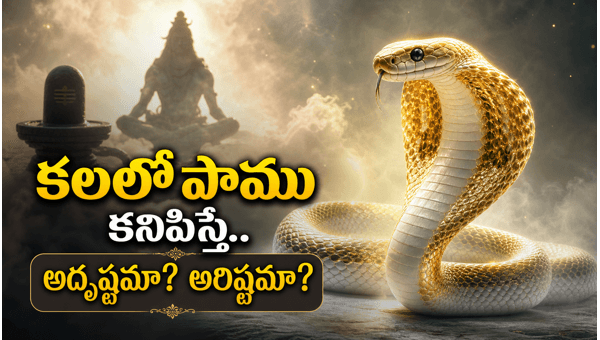 snake in dream meaning astrology snake in dream meaning astrology