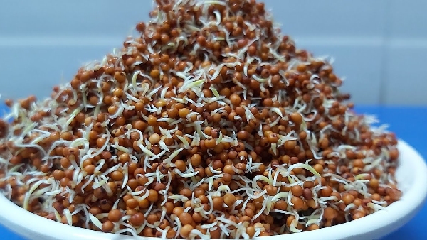 Ragi Malt Powder Recipe in Telugu Double the Nutrition Double the Energy Sprouted Ragi Malt at Home