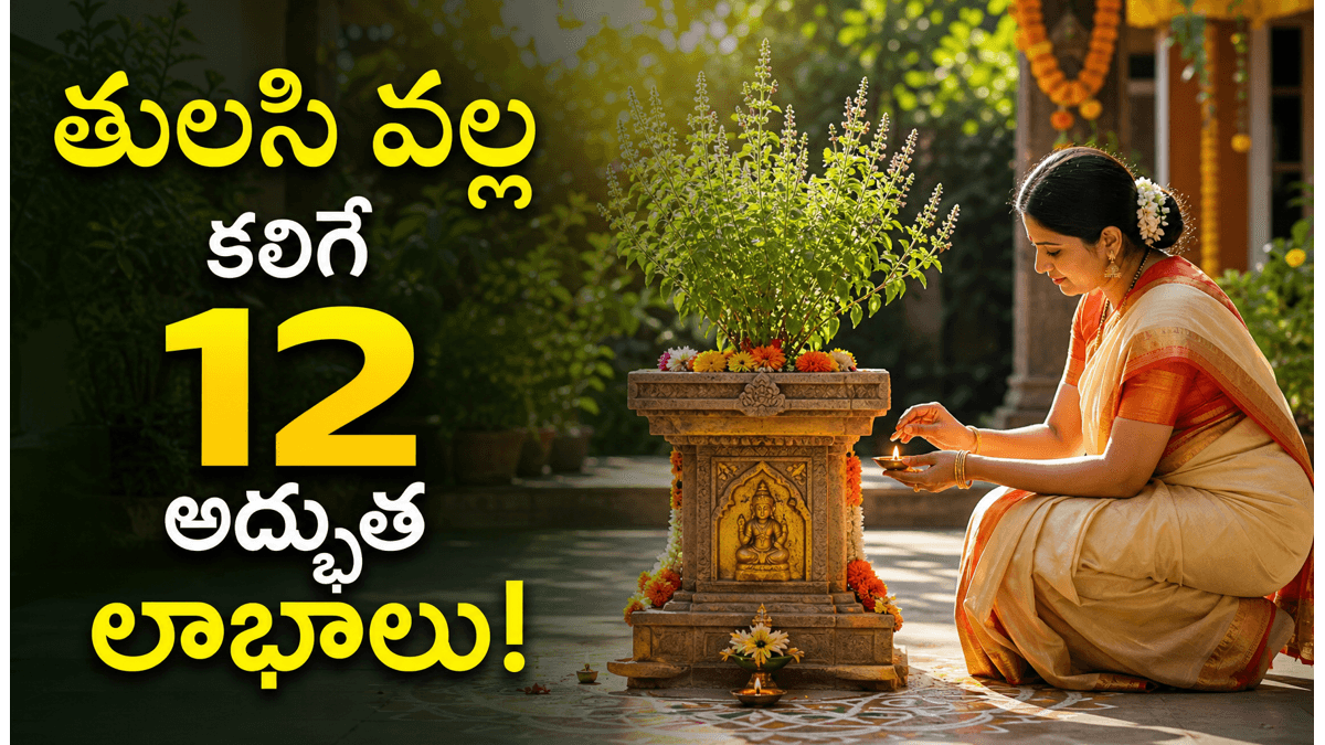 ప్రతి ఇంట్లో తులసి ఎందుకు ఉండాలి? ఈ 12 ప్రయోజనాలు తెలిస్తే వెంటనే నాటేస్తారు!