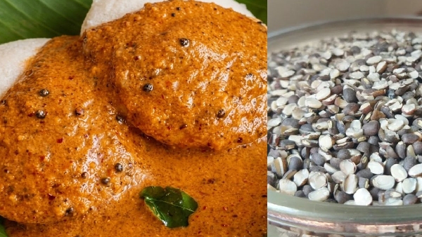 Protein Packed Black Urad Dal Chutney Recipe in Telugu Best Side Dish For Idli and Dosa Protein Packed Black Urad Dal Chutney Recipe in Telugu Best Side Dish For Idli and Dosa