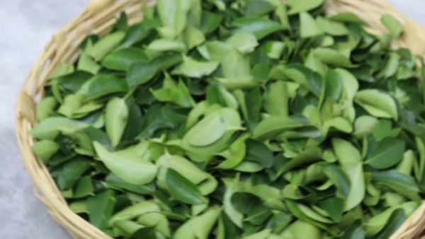 Curry leaves storage pickle for growing hair healthy and solution for diabetes patients Curry leaves storage pickle for growing hair healthy and solution for diabetes patients