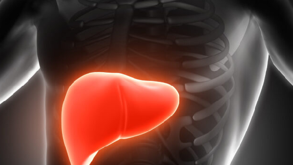 5 Essential Medical Tests You Must Do Annually to Keep Your Liver Healthy