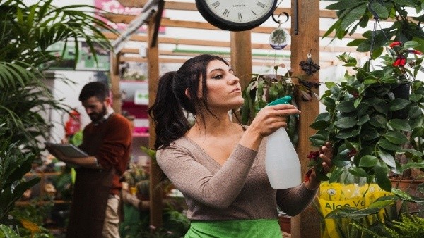 Follow these natural home remedies to prevent mosquitoes during the rainy season
