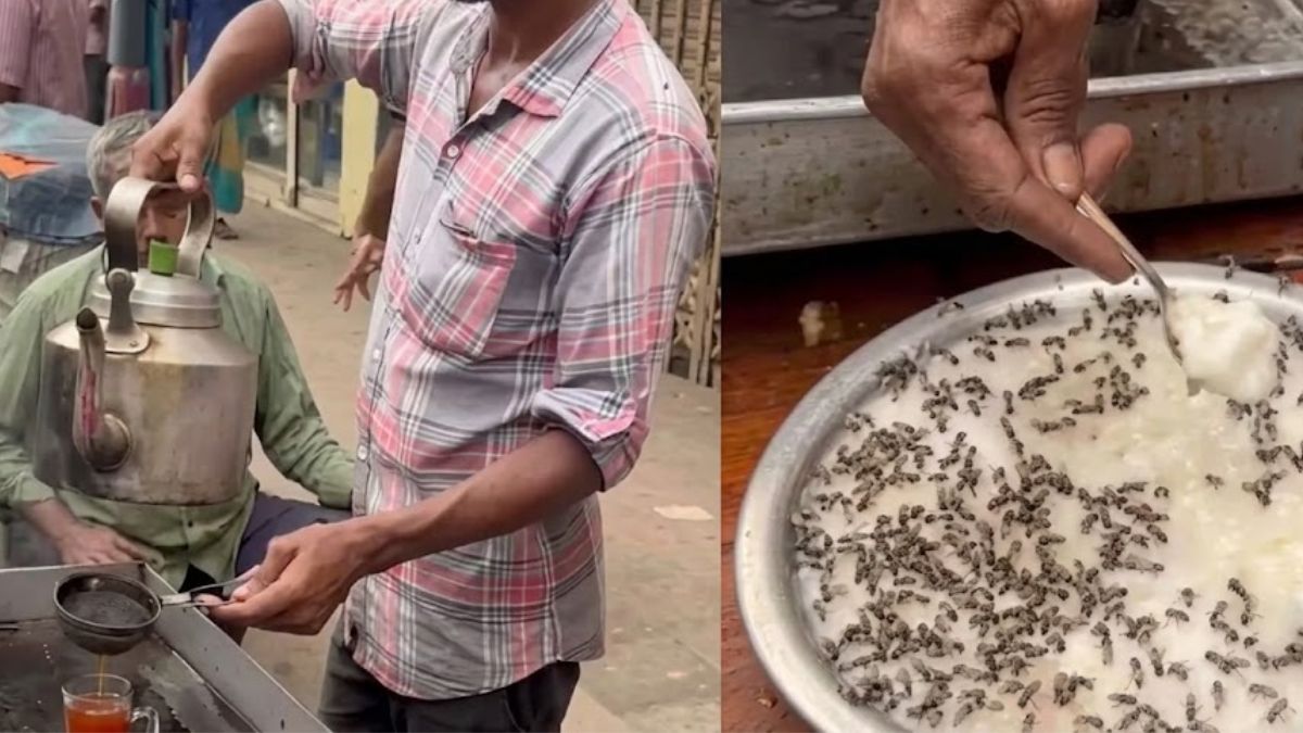 Shocking Video: ఈ ఈగల చాయ్ చూస్తే.. ఇక జీవితంలో రోడ్డు పక్కన టీ తాగరు!