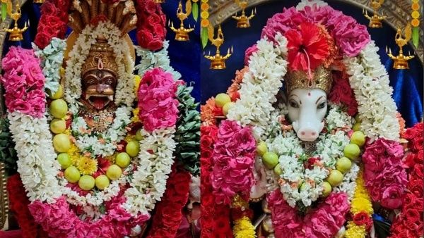 Sri shwetha Varahi Ammavari Temple near Tirumala know the significance and history Sri shwetha Varahi Ammavari Temple near Tirumala know the significance and history