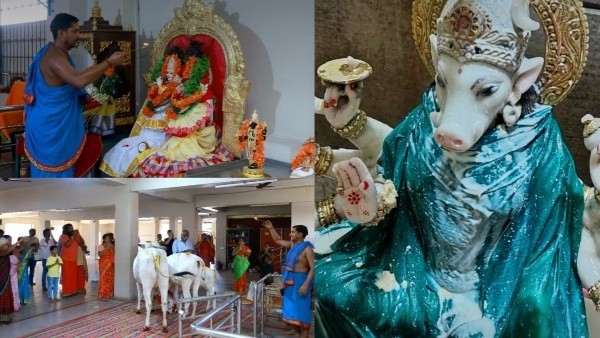 Sri shwetha Varahi Ammavari Temple near Tirumala know the significance and history Sri shwetha Varahi Ammavari Temple near Tirumala know the significance and history
