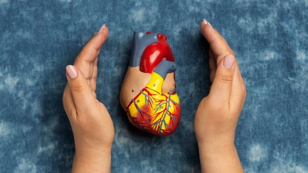 Can a heart attack occur again after a stent is placed know the facts Can a heart attack occur again after a stent is placed know the facts
