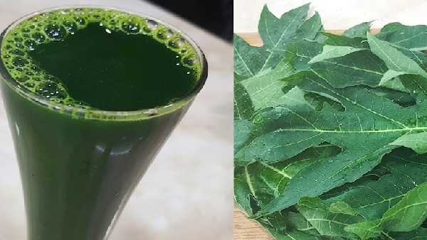 Papaya Leaves and Platelet Counts Is Papaya Leaf Juice Really a Magic Cure for Dengue