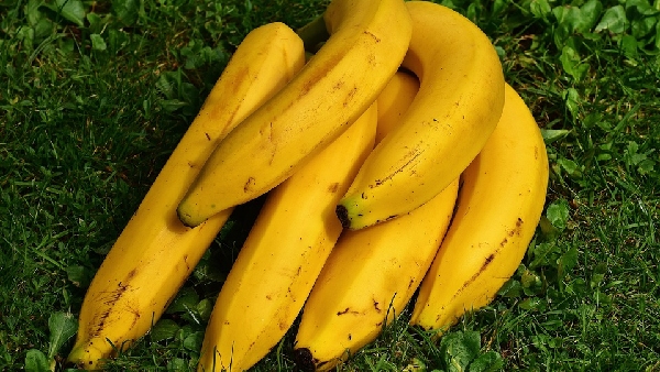 When is the Best Time to Eat a Banana Surprising Truth About When You Should Eat Bananas When is the Best Time to Eat a Banana Surprising Truth About When You Should Eat Bananas