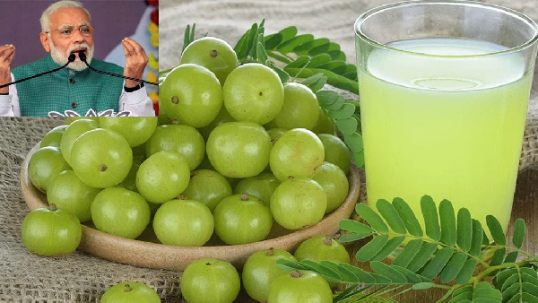 PM Modi in Mann Ki Baat Why Amla is the Ultimate Ayurvedic Superfood
